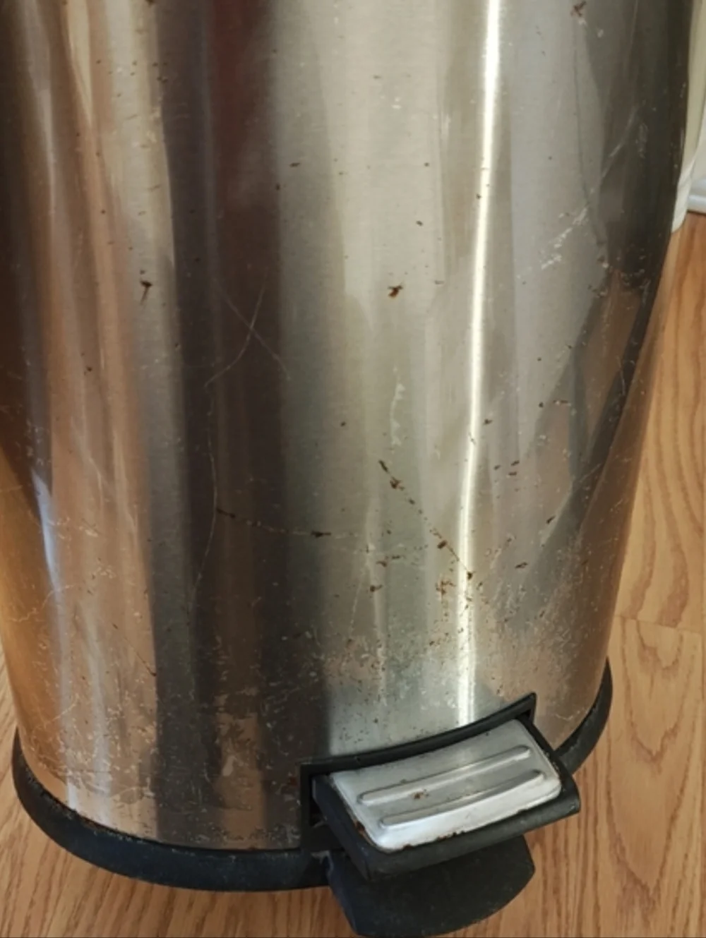 Stainless Steel Step Trash Can 12L 3.2 Gal with Soft Close Lid & Inner Bucket